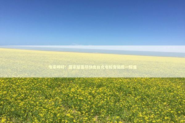 专家呼吁：国家层面尽快出台充电桩安装统一标准 新闻