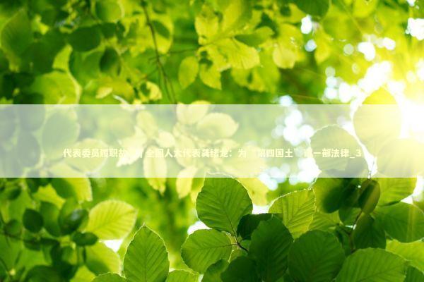 代表委员履职故事｜全国人大代表龚绪龙：为“第四国土”谋一部法律_3 新闻