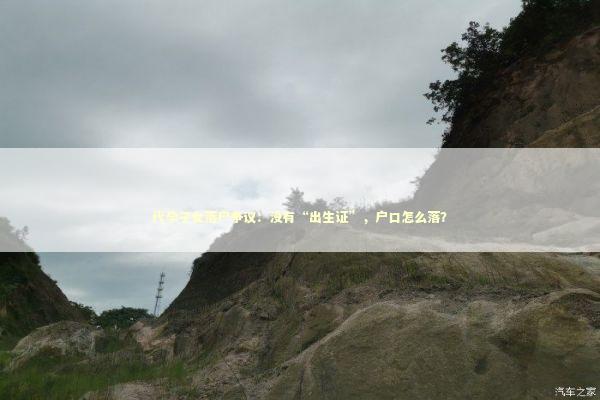 代孕子女落户争议：没有“出生证”，户口怎么落？ 新闻