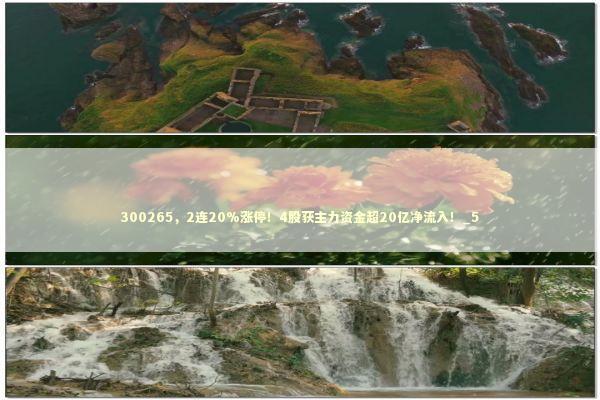 300265，2连20%涨停！4股获主力资金超20亿净流入！_5 新闻