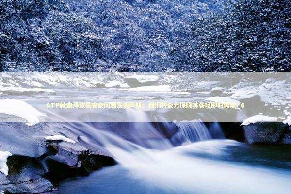 ATP就迪拜球员安全问题发表声明：我们将全力保障其各项即时需求_6 新闻