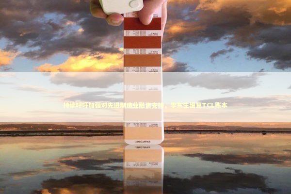 持续呼吁加强对先进制造业融资支持，李东生细算TCL账本 新闻