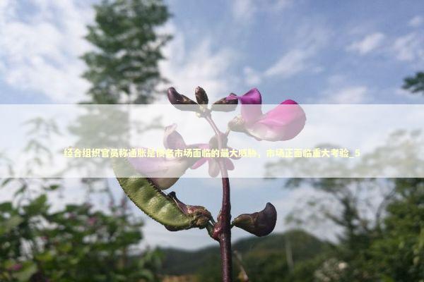 经合组织官员称通胀是债务市场面临的最大威胁，市场正面临重大考验_5 新闻