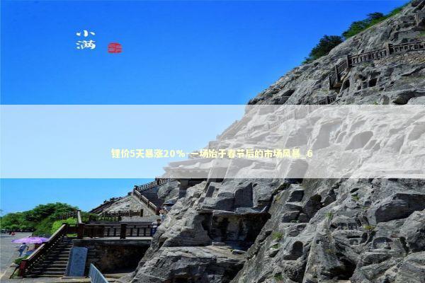 锂价5天暴涨20%-一场始于春节后的市场风暴_6 新闻