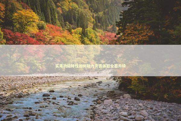 实用功能特性如何助力页面体验全面升级 新闻