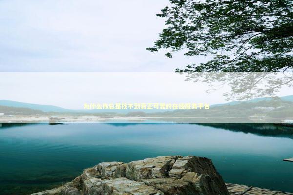 为什么你总是找不到真正可靠的在线服务平台 IT技术