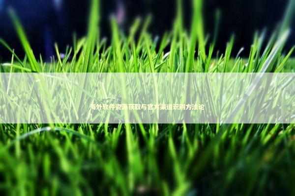 海外软件资源获取与官方渠道识别方法论 IT技术